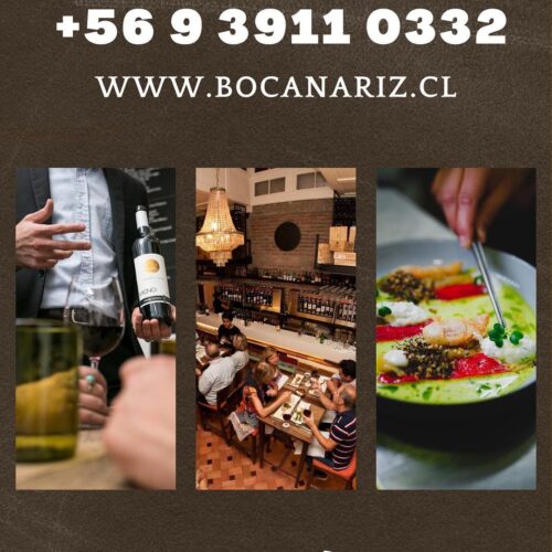bocanariz-insta-1